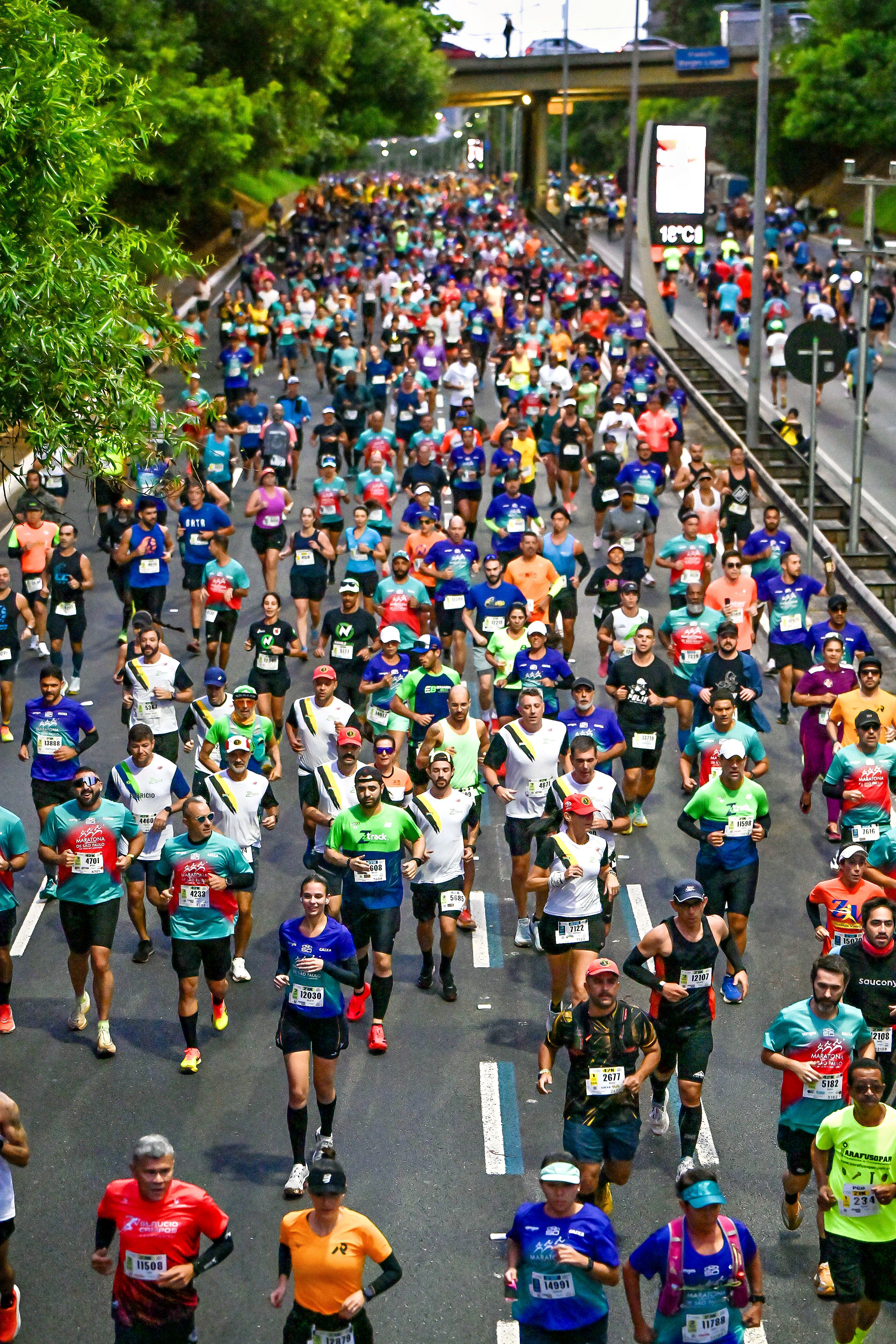 Como encontrar minhas fotos da corrida em poucos minutos